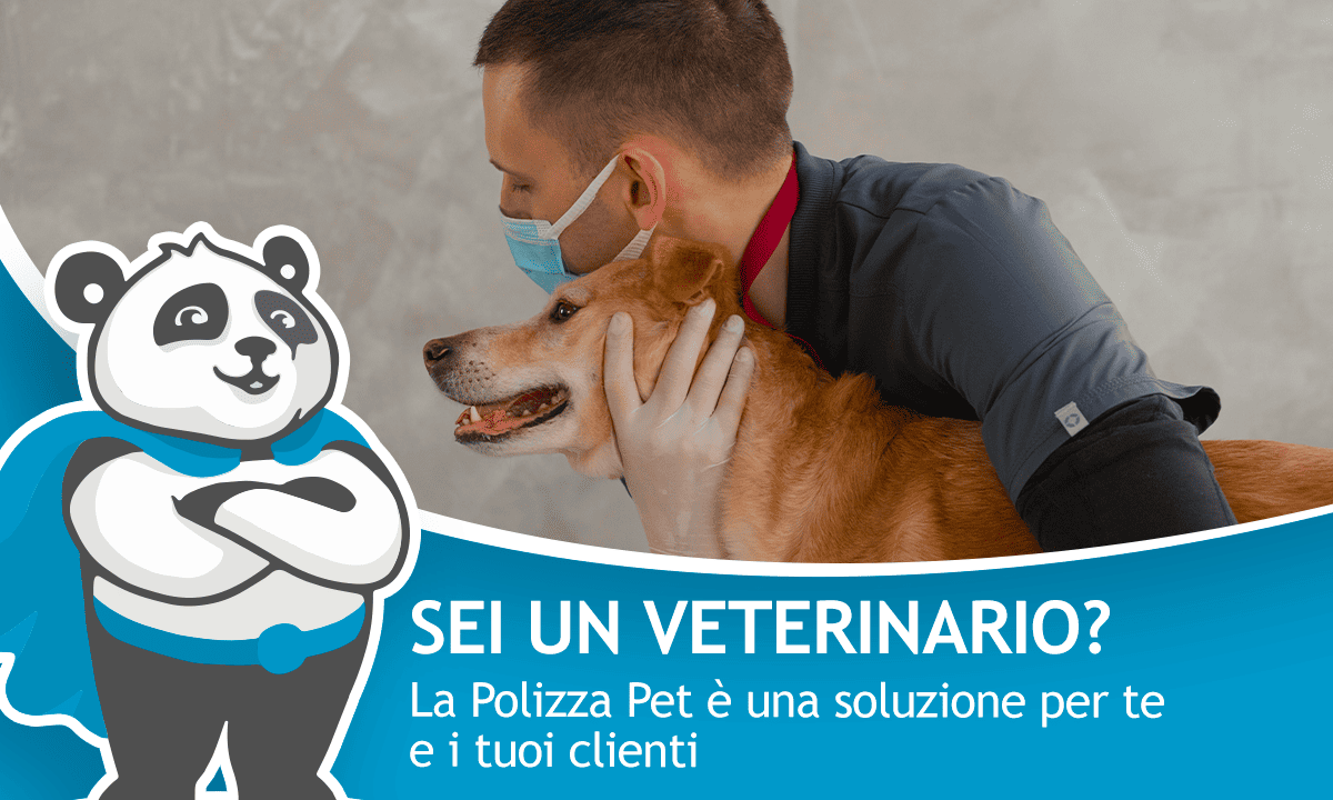 veterinario-polizza-pet